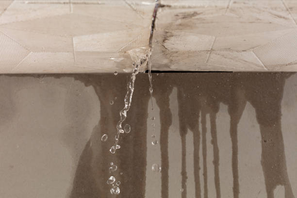 Professional Structural Drying technician working in Middleport, PA